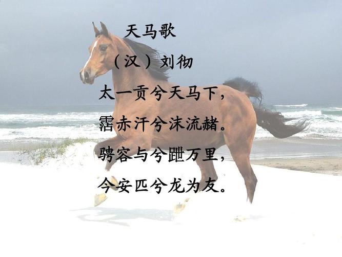 关于马的诗