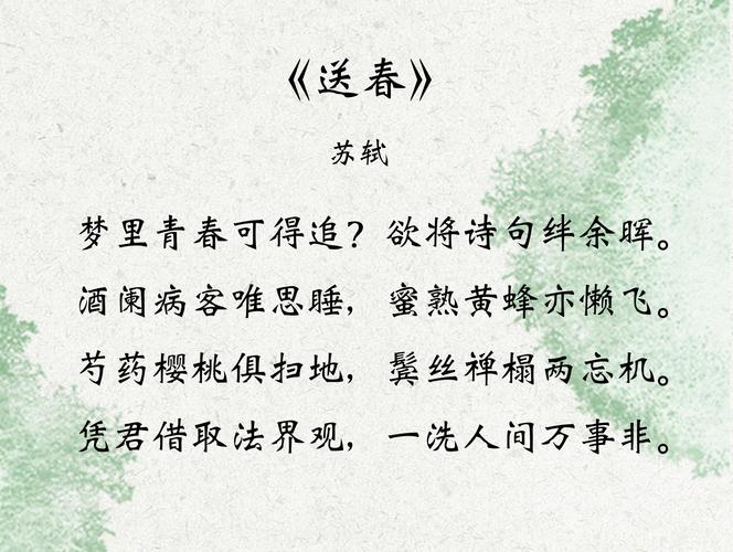 苏轼写的诗有什么