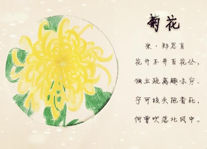 描写菊花的古诗