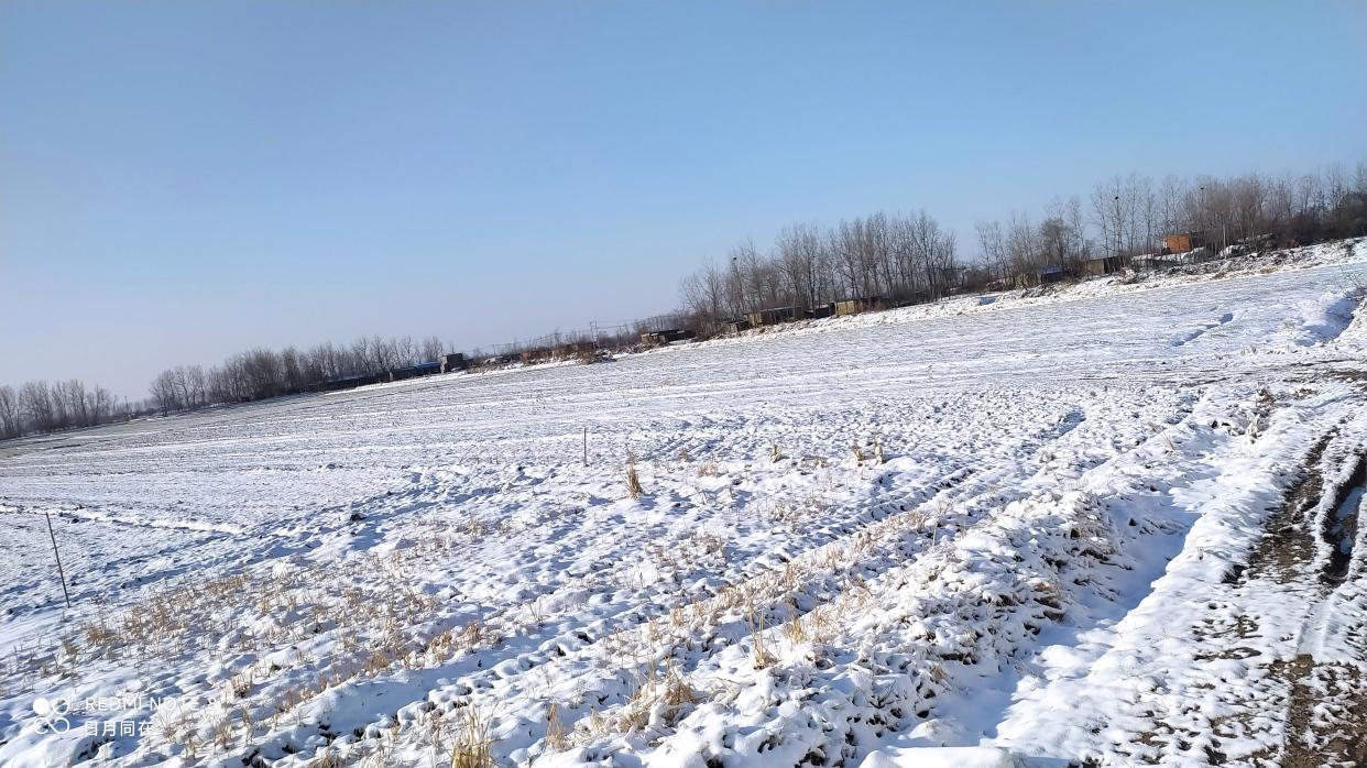 冬天麦盖三层被的相关图片